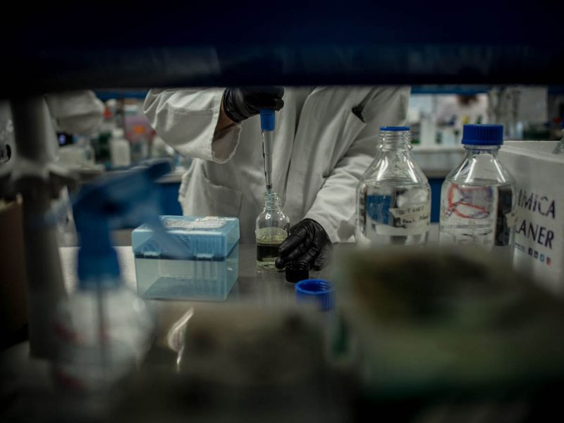 Esperan concluir en 2021 fase preclínica de vacuna Quivax 17.4 contra covid