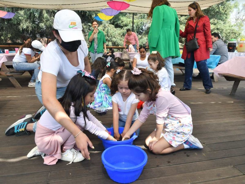 Peppa Pig y sus amigos te invitan a crear tu propio huerto