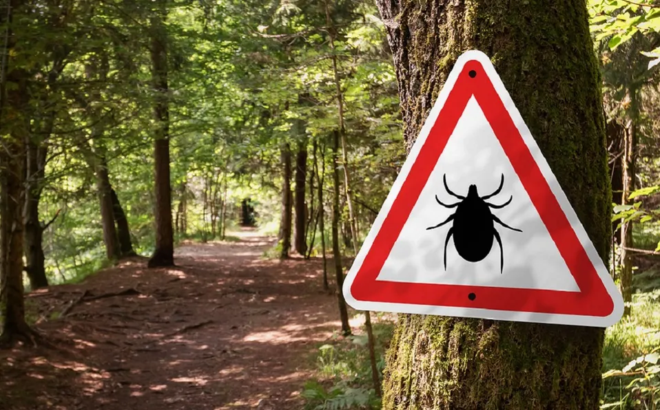 Niña de cuatro años murió por picadura de garrapata en Chihuahua