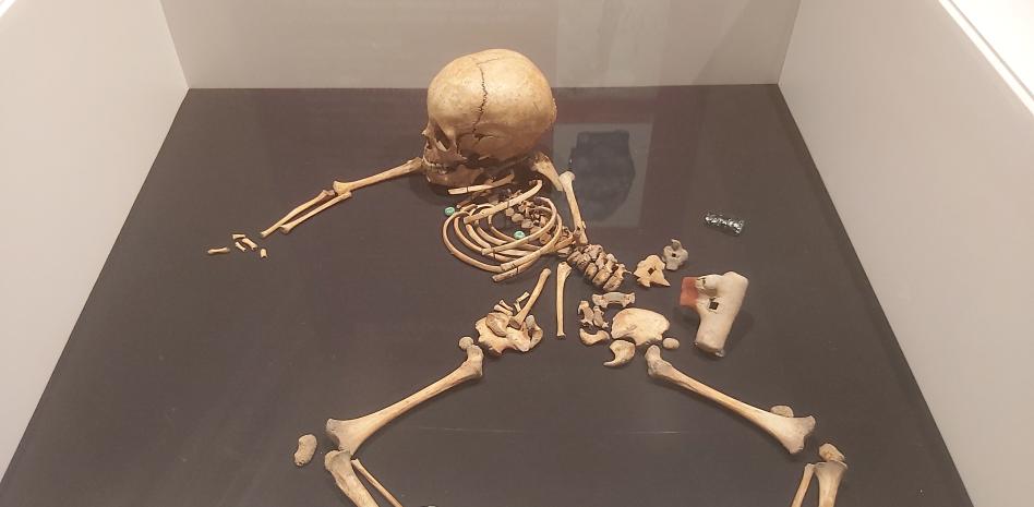 Exhiben por primera vez los restos de infante que representa a Huitzilopochtli