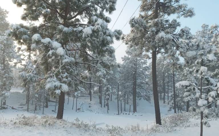 Clima en Chihuahua: Pronóstico de aguanieve y nieve para la Sierra