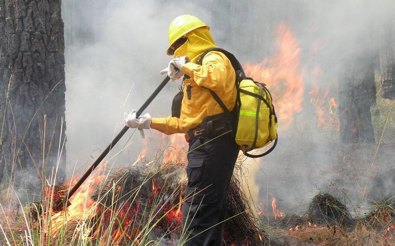 Luchan contra incendios forestales en tres municipios de Chihuahua
