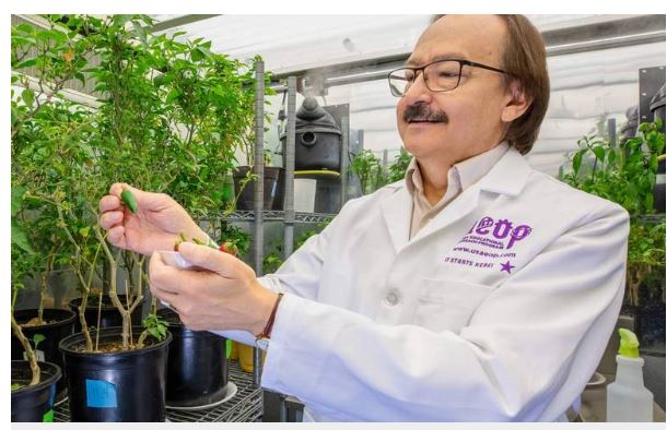 Galardonan a docente de la UTEP como Profesor del Año