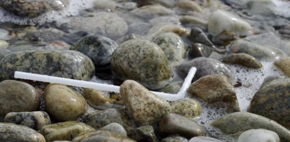 Plantean en Senado multas por hasta 1mdp a quienes  generen basura marina.