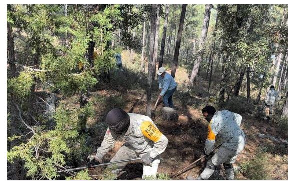 Activa GN Plan DN-III-E