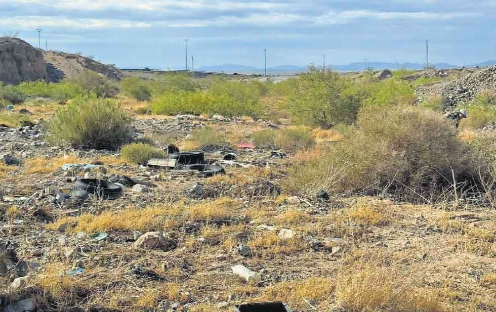 Buscan crear un oasis en medio del desierto