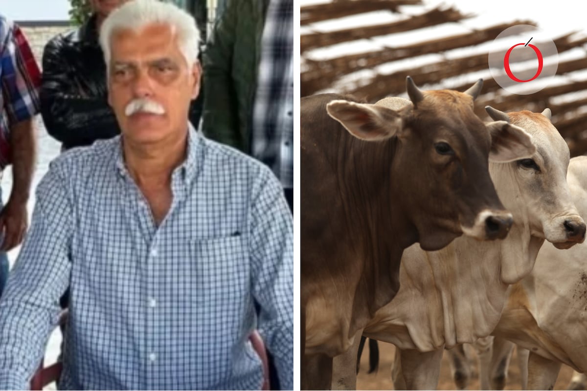 Líder ganadero de Colima es ejecutado en un violento ataque